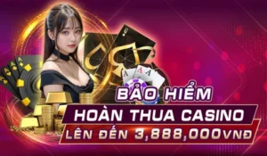 Live casino Wibo88 có đa dạng lựa chọn cho người chơi