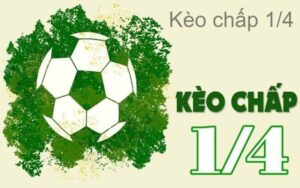 Kèo 1/4 là gì: Tìm hiểu cách chơi và cách đọc cho người chơi