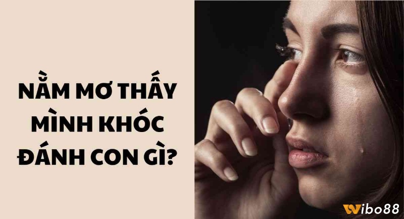 Mơ thấy mình khóc nức nở đánh con gì đánh đề lô chính xác?