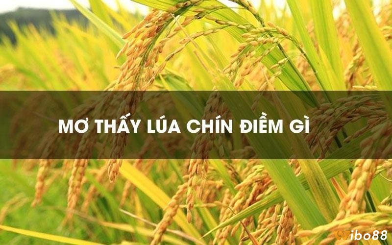 Phân tích dự báo chiêm bao dựa vào tình tiết cụ thể trong mơ