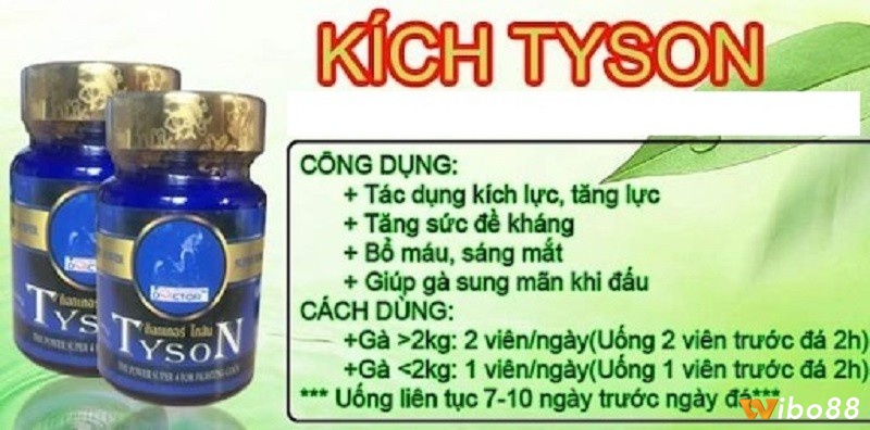 Thuốc Kich Tyson là thuốc tăng lực cho gà đá được ưa chuộng