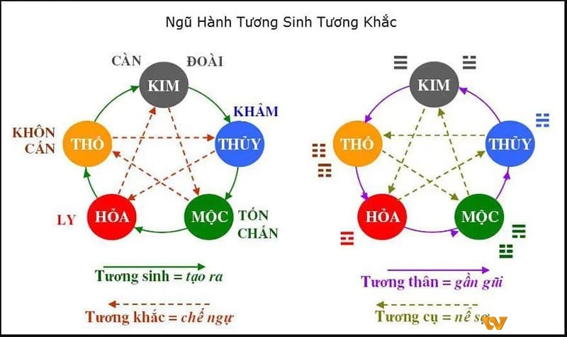 Chọn ngày đá gà phù hợp với mạng gà để tăng tỷ lệ chiến thắng cho anh em