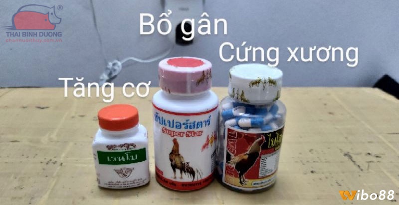 Thuốc bổ cho gà đá - Thuốc tăng lực