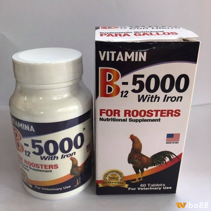 Thuốc bổ cho gà đá - Vitamin tổng hợp