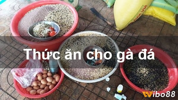 Cách giảm cân cho gà chọi theo chế độ dinh dưỡng