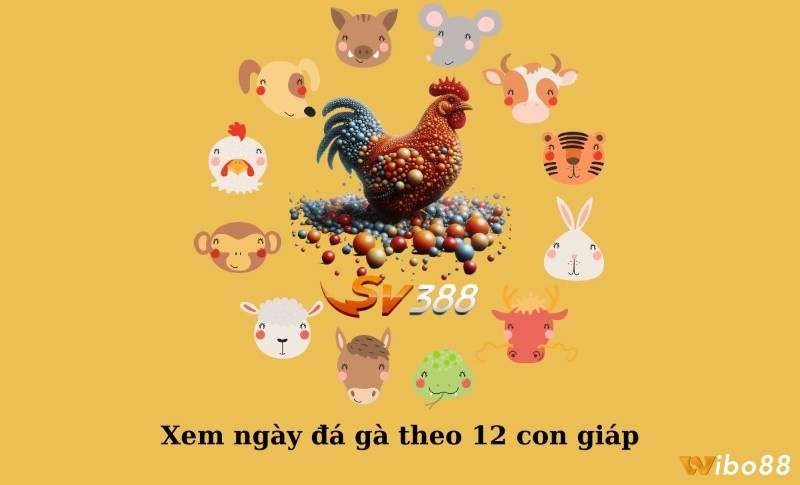 Cách xem ngày đá gà theo 12 con giáp